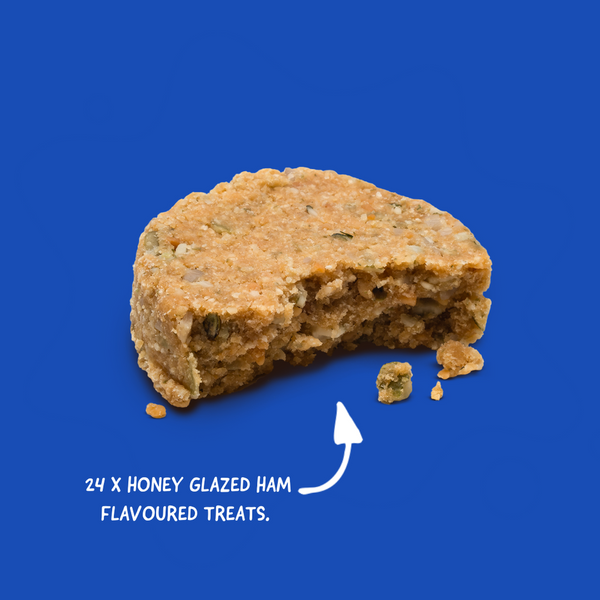 DOGGYLICIOUS Advent Calendar