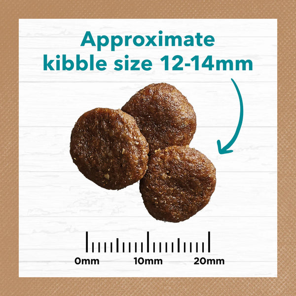 IVORY COAT Grain Free Adult Salmon & Ocean Fish