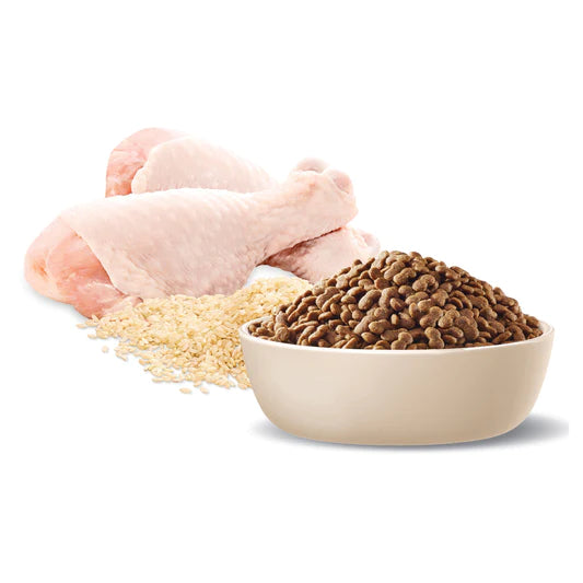ADVANCE Adult Small Breed Chicken with Rice