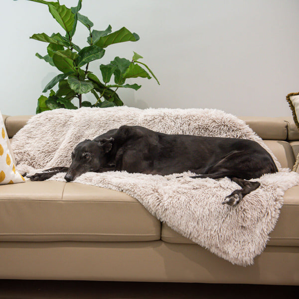 SUPERIOR Calming Pet Blanket Water Resistant