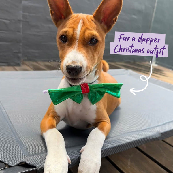 KAZOO Christmas Bow Tie
