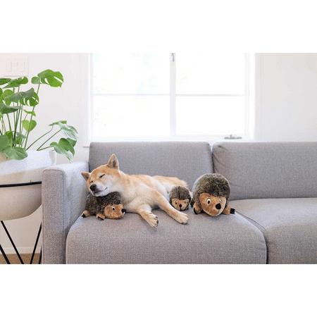 OUTWARD HOUND Hedgehogz