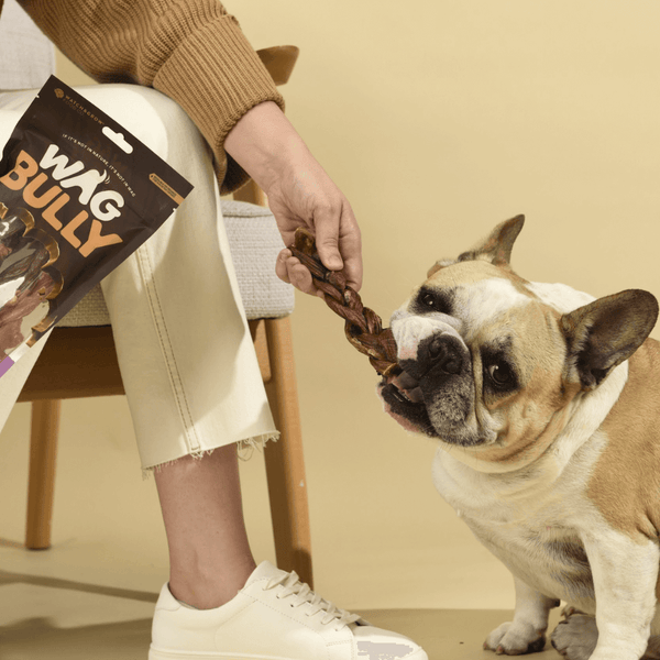 WAG Braided Bully Stick