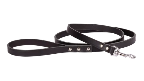 BEAU PETS Greyhound Leash w/ Snap Hook 150cm