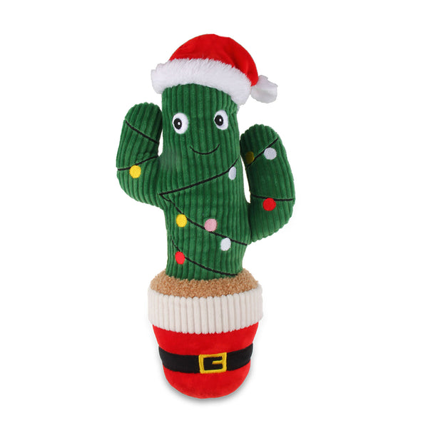 KAZOO Christmas Cactus