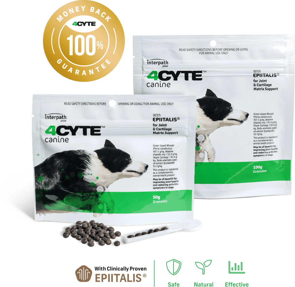 4CYTE Oral Joint Supplement for Dogs 50g Granules