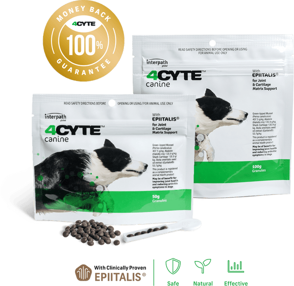 4CYTE Oral Joint Supplement for Dogs 50g Granules