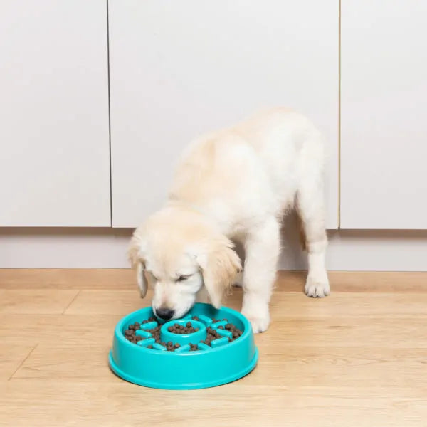 ZIPPY PAWS Happy Bowl Slow Feeder - Donut