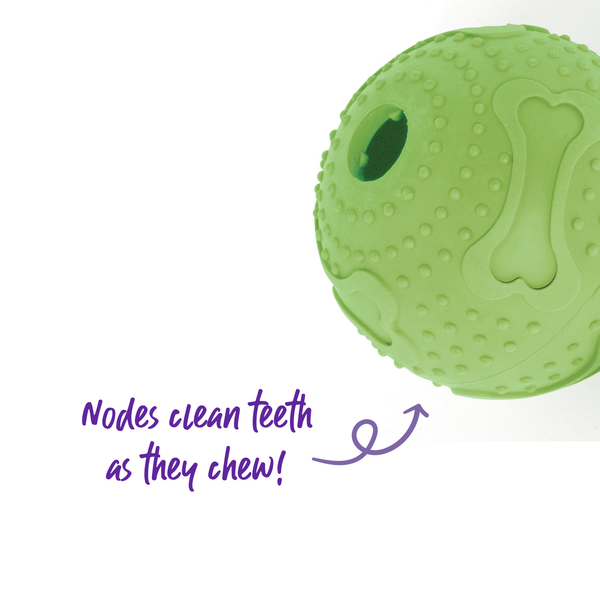 KAZOO Rubber Hide N' Treat Ball