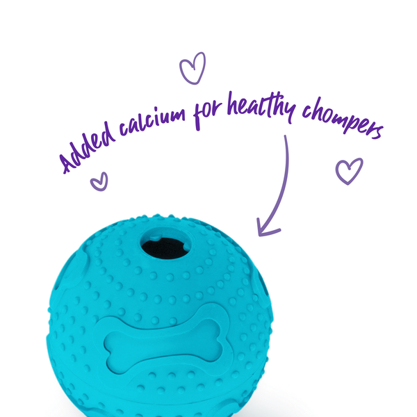 KAZOO Rubber Hide N' Treat Ball