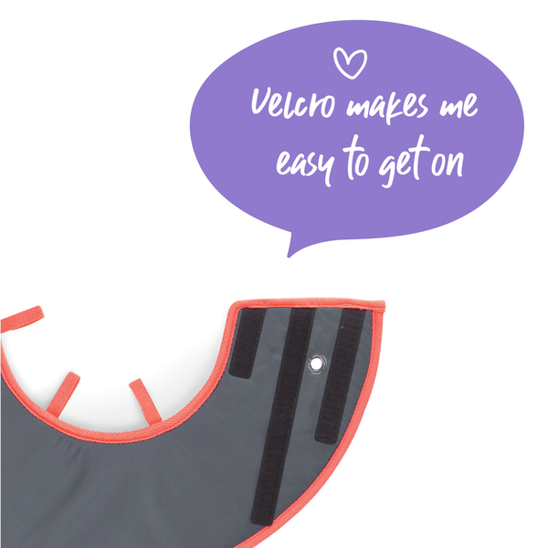 KAZOO Comfy Recovery Collar