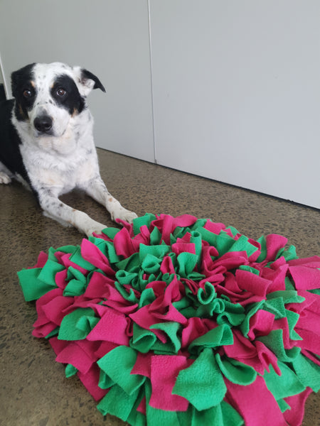 WOOFERS WORLD Snuffle Mat - RENTAL per day