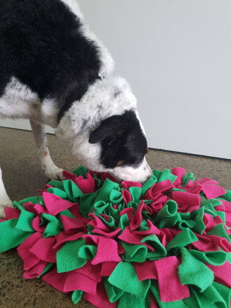 WOOFERS WORLD Snuffle Mat - RENTAL per day