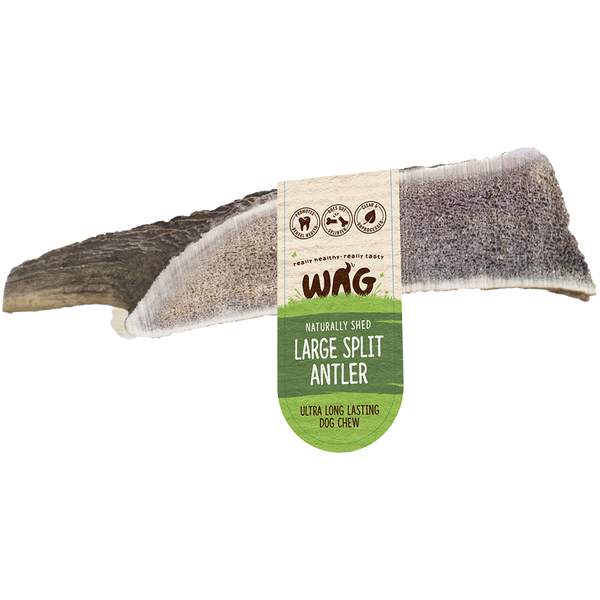 WAG Split Antler
