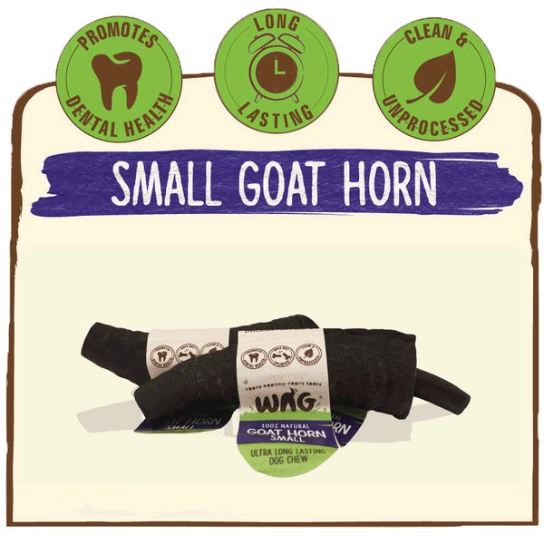 WAG Goat Horn
