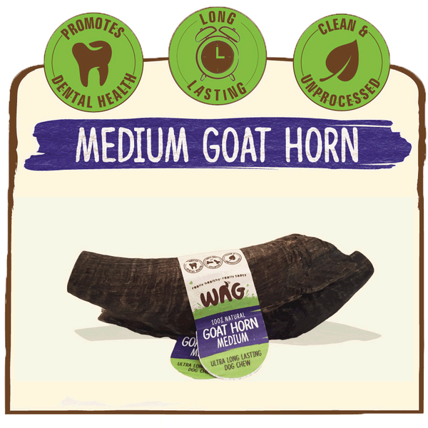 WAG Goat Horn