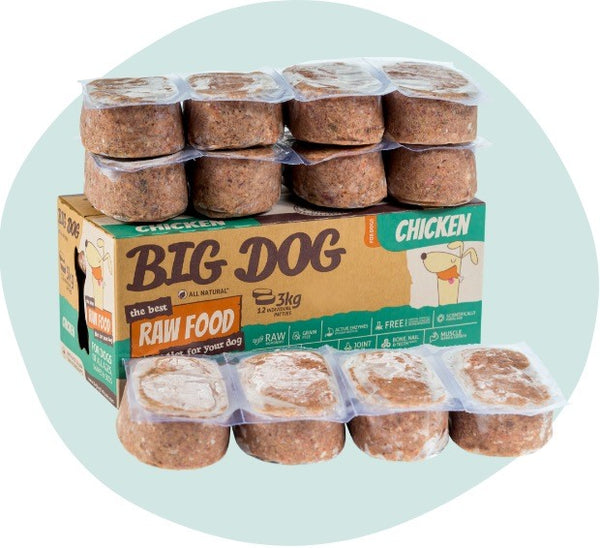 BIG DOG Chicken Raw Food (frozen)