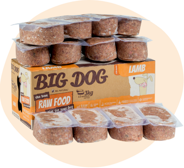 BIG DOG Lamb Raw Food (frozen)