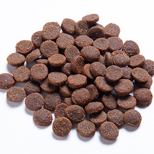 BLACKDOG Nutrition Adult Chicken