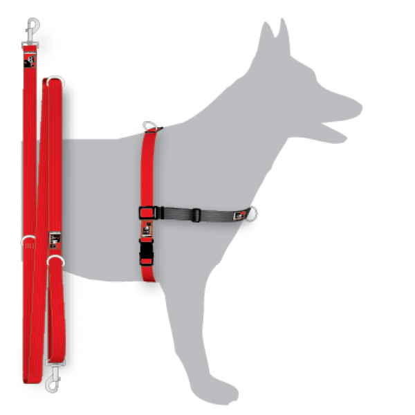 BLACK DOG WEAR - Balance Training Pack