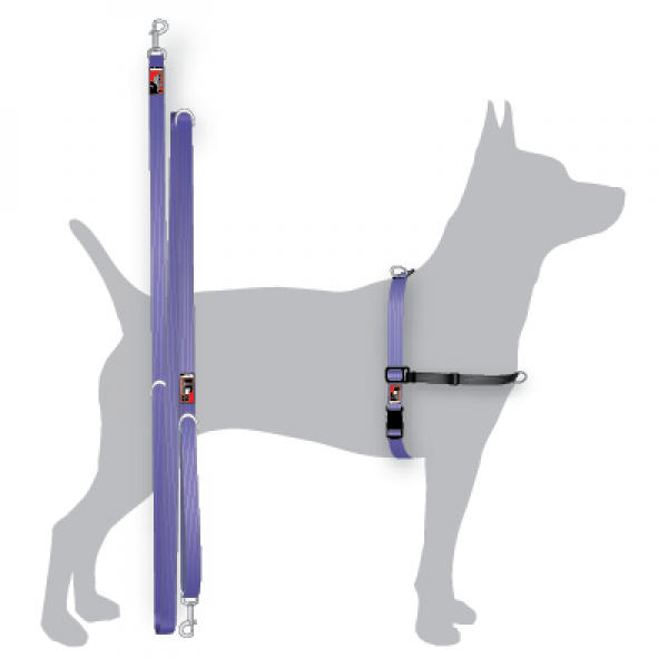 BLACK DOG WEAR - Balance Training Pack