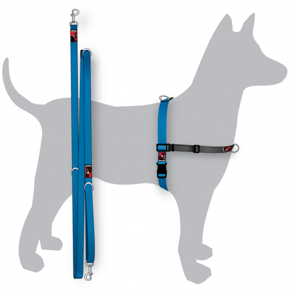BLACK DOG WEAR - Balance Training Pack