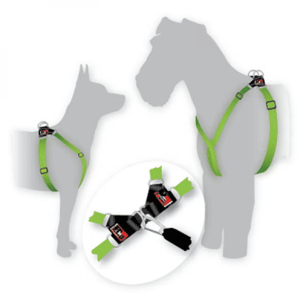 BLACK DOG WEAR Dog Harness