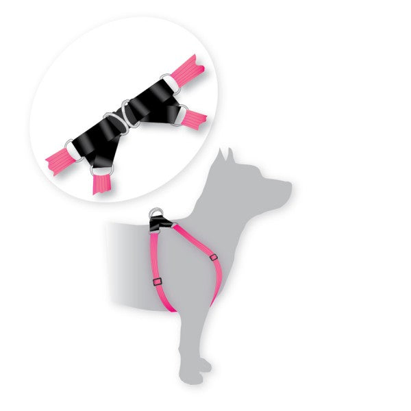 BLACK DOG WEAR Dog Harness