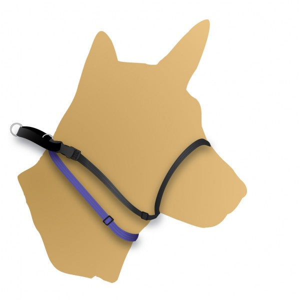 BLACK DOG WEAR Haltermate