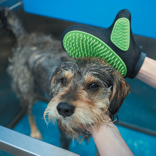 KAZOO Grooming Glove