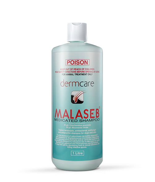 MALASEB Medicated Shampoo
