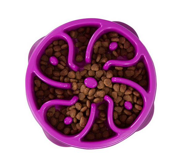 OUTWARD HOUND Fun Feeder (Slow Feeder Bowl)