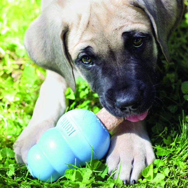 KONG Dog Stuff'n Puppy Ziggies