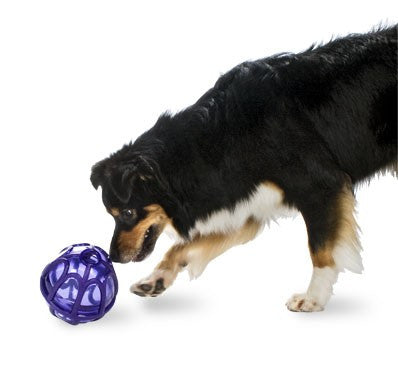 BUSY BUDDY Kibble Nibble