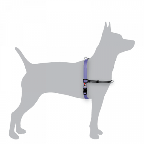 BEAU PETS Greyhound Leash w/ Snap Hook 150cm