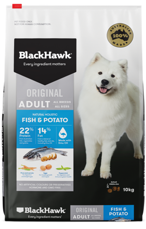 BLACK HAWK Adult Fish & Potato