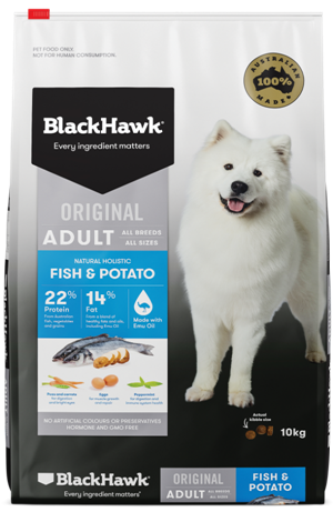 BLACK HAWK Adult Cat Lamb 3kg