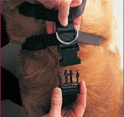 BEAU PETS Car Harness Black