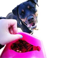 THE TRAINERS POUCH - Original