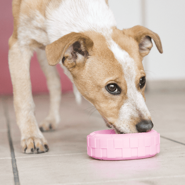 KONG Dog Puppy Tires