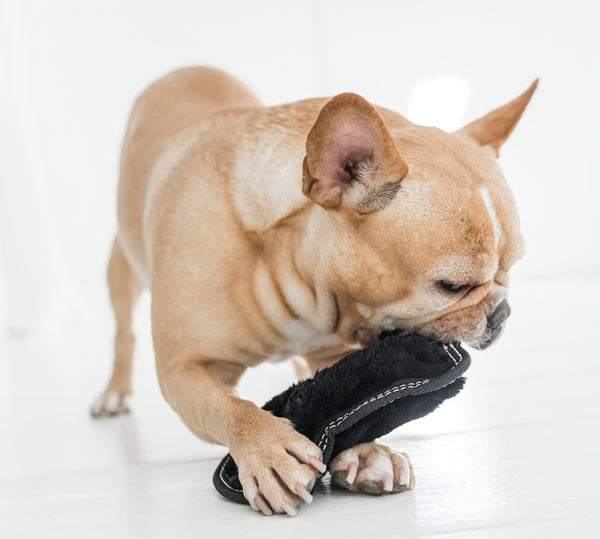 OUTWARD HOUND Tough Seamz Elephant