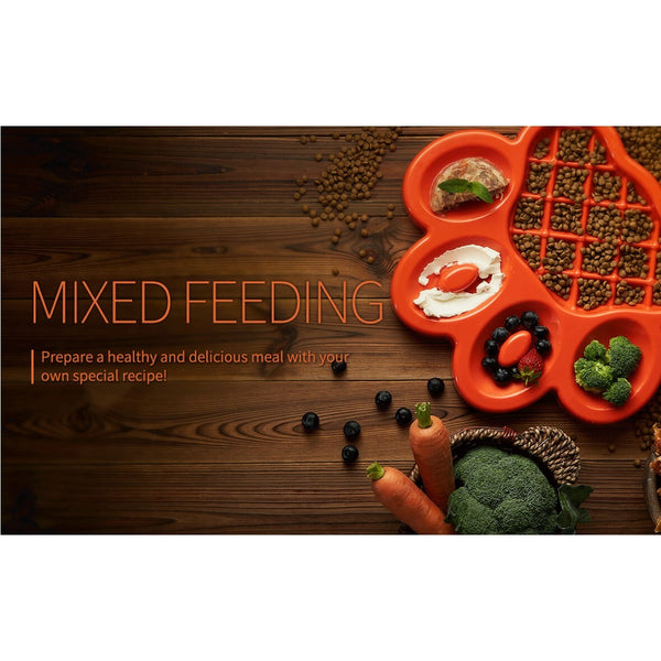 PAW 2-in-1 Slow Feeder Wet & Dry Food