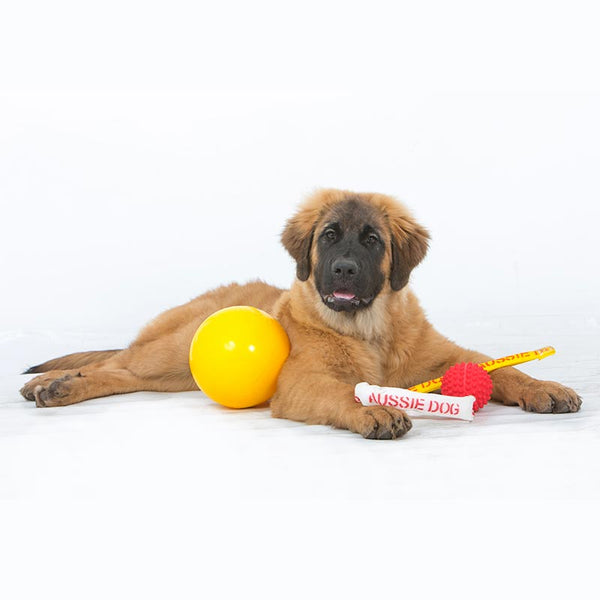 AUSSIE DOG - Puppy Pack Large