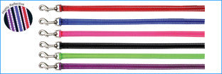 BEAU PETS Lead Reflective Nylon