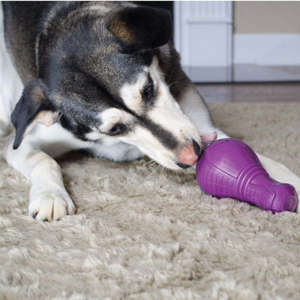 BUSY BUDDY Squeak 'n Treat Booya