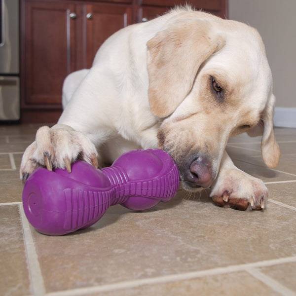BUSY BUDDY Squeak 'n Treat Ooga
