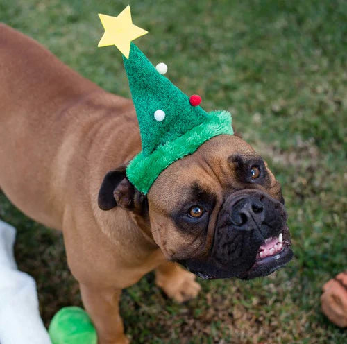 KAZOO Christmas Tree Hat
