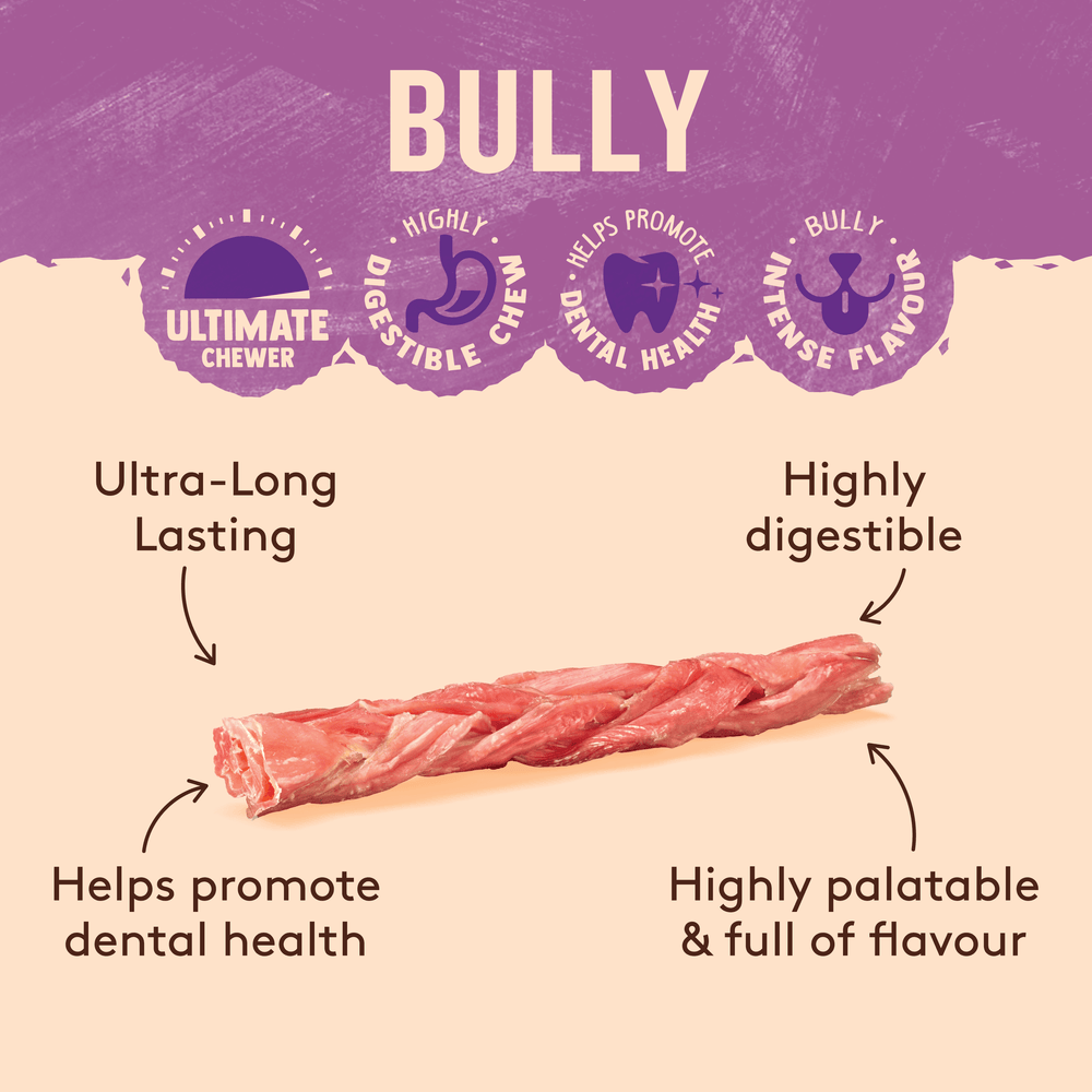 WAG Braided Bully Stick