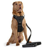 DOOG Neotech Harness - Black