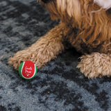 KAZOO Santa Paws Ball - Medium